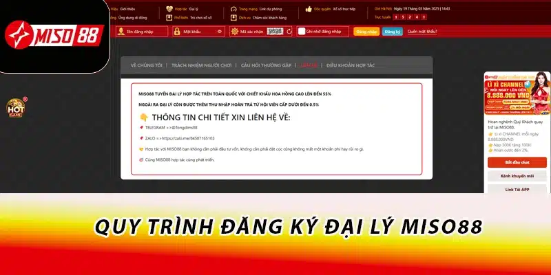 Đăng Ký Đại Lý Miso88 Nhận Nhiều Quyền Lợi Hấp Dẫn 3 Quy trình đăng ký đại lý Miso88