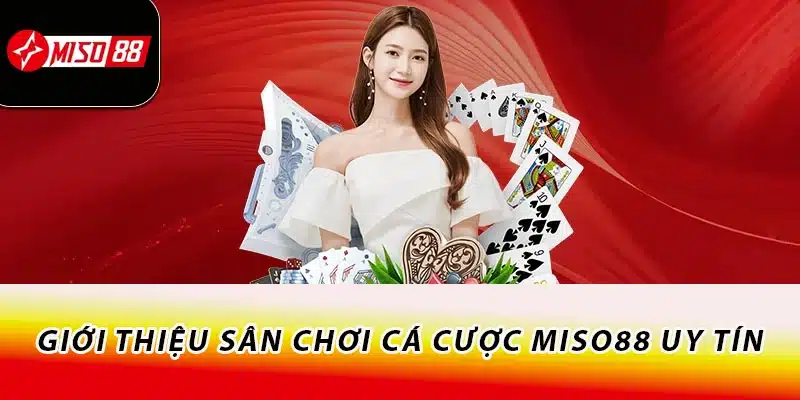 Miso88 | Đăng Nhập Miso88.com - Trang Chủ Casino 2026 20 Giới thiệu sân chơi cá cược Miso88 uy tín