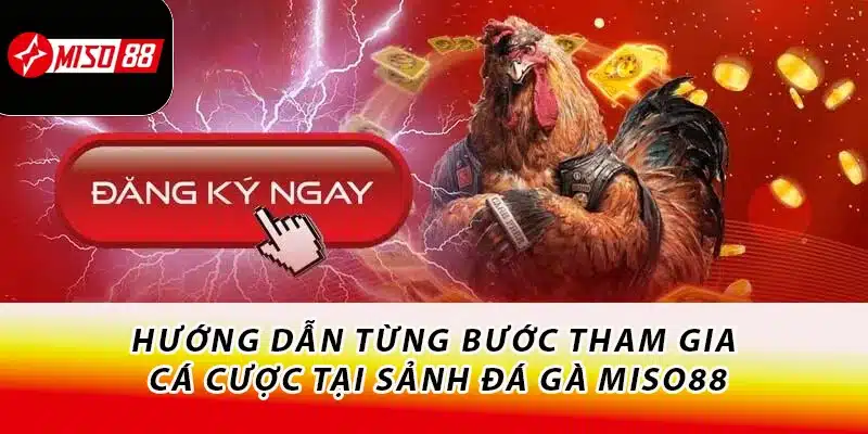 Chơi Đá Gà Miso88 - Bắt Kèo Chuẩn Xác, Nhận Thưởng Mỏi Tay 2 Hướng dẫn từng bước tham gia cá cược tại sảnh đá gà Miso88