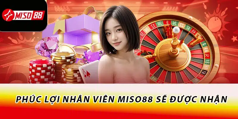 Tuyển Dụng Miso88 Nhiều Vị Trí, Phúc Lợi Hấp Dẫn 3 Phúc lợi nhân viên Miso88 sẽ được nhận